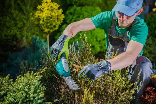 landscaping services Grandville